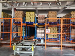 Pallet Shuttle Racking System